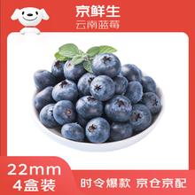 京鲜生 云南蓝莓 巨无霸22mm+ 4盒礼盒装 约125g/盒 新鲜水果礼盒