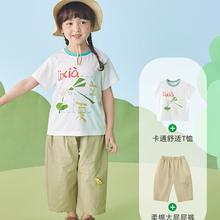 巴厘小猪 儿童T恤夏季薄款短袖