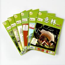 意林少年版 24年11/12/15/24期 4本打包