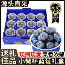 松筱 限时1小时！云南蓝莓特大果100-125g/盒*6盒 单果15-18mm+