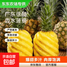 东东农场专供 徐闻香水菠萝 2个装 净重3-3.5斤 单果650克起