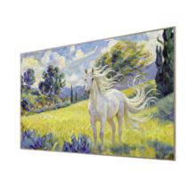 国家补贴：TCL Art 7M系列 55Art 7M 液晶电视 55英寸