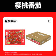 一颗大 山东串枝番茄 1kg