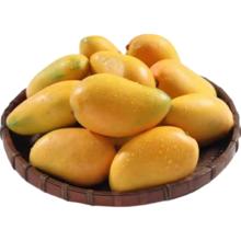海南小台农 3斤带箱 严选装 单果重80g