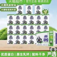 Europe-Asia 全脂纯牛奶 200g*21盒