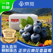 京觅 云南蓝莓 中果15mm+ 100g/盒 12盒装 生鲜水果源头直发