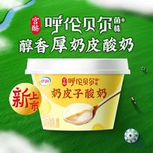 伊利 宫酪奶皮子酸奶 138g*10杯 呼伦贝尔草原菌株