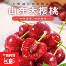 山东大樱桃新鲜水果 4.7斤净重 小果XL 单果直径20mm+ 京东包邮