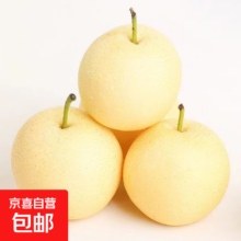 正宗河北皇冠梨 现摘现发 脆甜多汁 梨子整箱 净重4.5斤