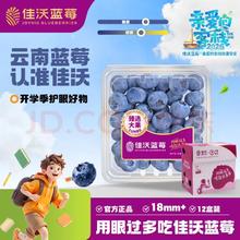 佳沃 云南蓝莓18mm+ 12盒原箱装 约125g/盒 新鲜水果礼盒