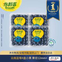 怡颗莓 Driscolls 云南蓝莓 12mm+ 4盒装 约125g/盒 新鲜水果