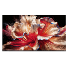 海信 E8S 100吋 RGB-MiniLED电视 玲珑真彩背光 H7芯片黑曜屏Pro 世界杯定制电视