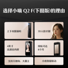 德施曼 小嘀Q2F 指纹锁 密码锁 家用入户门防盗门锁 下摄