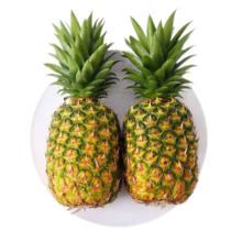京鲜生 海南金钻凤梨 净重3斤 单果650g+ 新鲜水果生鲜源头直发