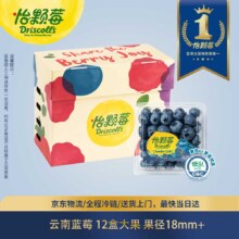 怡颗莓 Driscoll's 云南蓝莓 Jumbo大果 18mm+ 12盒 125g/盒 新鲜水果礼盒