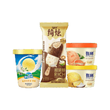 伊利 甄稀杯 奶皮子酸奶雪糕 香草奶昔杯 组合装 18杯 1550g