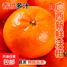 广西沃柑 8斤中果 单果60mm+ 净重7斤