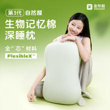 自然醒 第三代记忆棉深睡枕头枕芯 A类护颈抗菌助睡眠