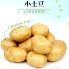 新鲜黄心土豆 农家自种黄皮马铃薯 5斤