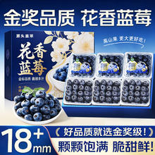 JDBMO蓝莓 巨无霸怡颗大蓝莓孕妇水果 6盒中果单果15mm+ 净100-125g