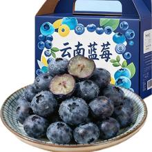 国产云南蓝莓 新鲜蓝莓 4盒装 中果 单果15mm+ 70-90g/盒
