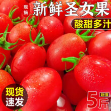 松筱 水果番茄 千禧圣女果 小番茄 5斤装