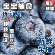 隰(xi)悦云南花香蓝莓 多地次日达新鲜蓝莓 生鲜水果应季水果 中果8盒装14mm+（100g-125g）/盒