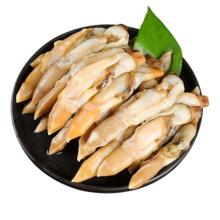 鲜冻去壳无沙蛏王肉 冷冻大号竹节蛏 500g净重