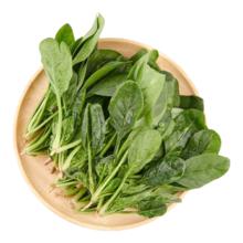 再降价：京东 河南菠菜 5斤净重 高杆红根青菜 火锅配菜