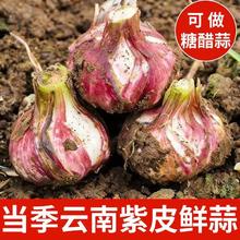 2026云南紫皮大蒜新鲜大蒜头紫皮 含箱重5斤中果3.5-4CM