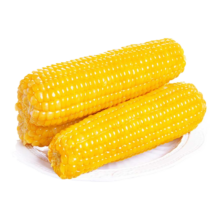 佟创 东北黄糯玉米 甜糯玉米棒 200g*10 真空包装加热即食