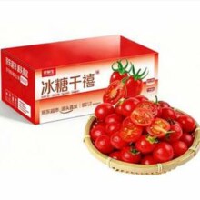 比普通小番茄甜度更高！京鲜生 电白冰糖千禧圣女果 3斤礼盒/单果6g+