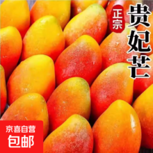 海南贵妃芒果 红金龙芒果 整箱5斤净重4.5斤 单果60-100g