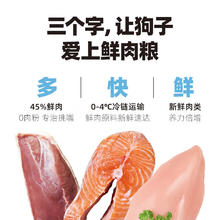 伯纳天纯 鲜护食力系列 宠物狗粮 0谷物成犬幼犬中大型小型犬通用狗粮 鸡肉400g