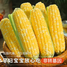 新鲜水果玉米 当季生鲜现摘现发 低脂代餐 玉米棒 净重5斤