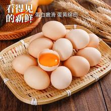 山林新鲜土鸡蛋 当日现捡 20枚 40g/枚左右