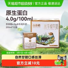 百菲酪 4.0g优质乳蛋白 水牛纯牛奶