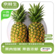 京鲜生 金钻凤梨 净重4.5-5斤 3件 单果650g+ 新鲜水果生鲜源头直发