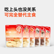 万物一口 鱼脆脆主食肉干80g