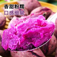 紫罗兰 紫薯 正宗沙地紫心红薯蜜薯地瓜 减脂蔬菜 带箱5斤