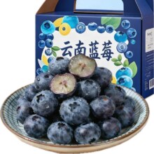 闭眼买：云南蓝莓 花香蓝莓 新鲜水果 15mm+ 大果 2盒装 单盒净重100g