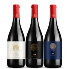 贺兰山东麓 红酒 类人首皓月紫黛夫赤霞珠马瑟拉干红葡萄酒 3支组合