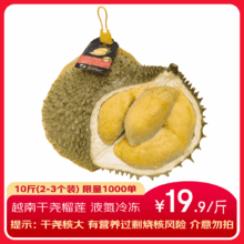 京鲜生 越南干尧榴莲 10斤 2-3个装 液氮冷冻 保3.5房