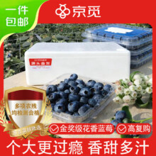 京觅 大凉山花香蓝莓 8盒装 单果12mm+ 净重100g/盒 生鲜直发