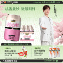 珠江啤酒 雪堡精酿桃沁酿啤酒 330ml*12罐