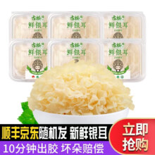 古松 鲜银耳6朵 100g*6盒