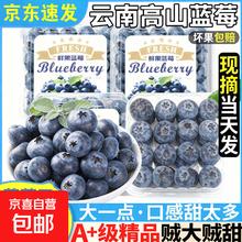 云南花香 蓝莓 现摘高山蓝莓 8盒装 单果15-18mm 125g/盒（净100g）