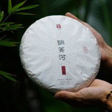 超级88会场惊爆价，220入手！言印  山巅 铜箐河 普洱茶 同庆河云南七子饼茶生茶