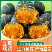 再降价：康田汇 真贝贝南瓜 5斤 单果250g+ 粉糯香甜 老瓜蔬菜 净重4.5斤 源头直发