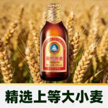 青岛啤酒小棕金质296ml*6瓶